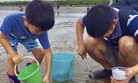 親子で一緒に楽しもう！潮干狩り体験 　開催日：7月27(日)